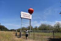 Australian BIG Things | Yerrinbool BIG Apple Australian BIG Things | Yerrinbool BIG Apple