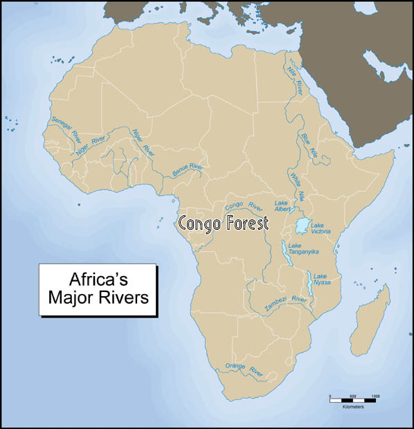 Animals Plants Rainforest Congo Country Forest Rainforest History