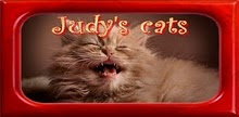 judy-cats.