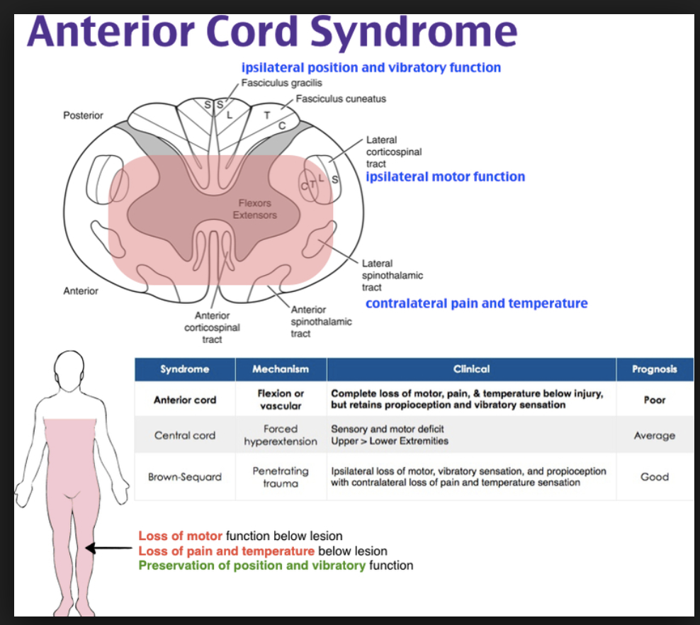 Klasifikasi Spinal Cord Injury Medstellar