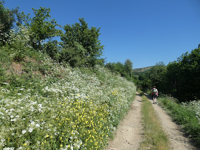 Dès le départ c'est un corso fleuri qui nous accompagne le long du chemin.