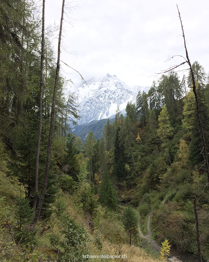 Beim Wandern schnell mal den Schwanz reinstecken Beim Wandern schnell mal den Schwanz reinstecken