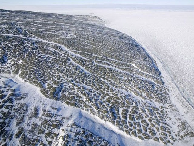 Долина Тейлора обрывается, уходя под ледяной припай на берегу пролива. Антарктическим летом (с ноября по март) берег омывают морские волны.