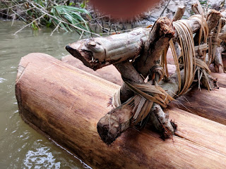 log raft, Amazon Basin, Ecuador