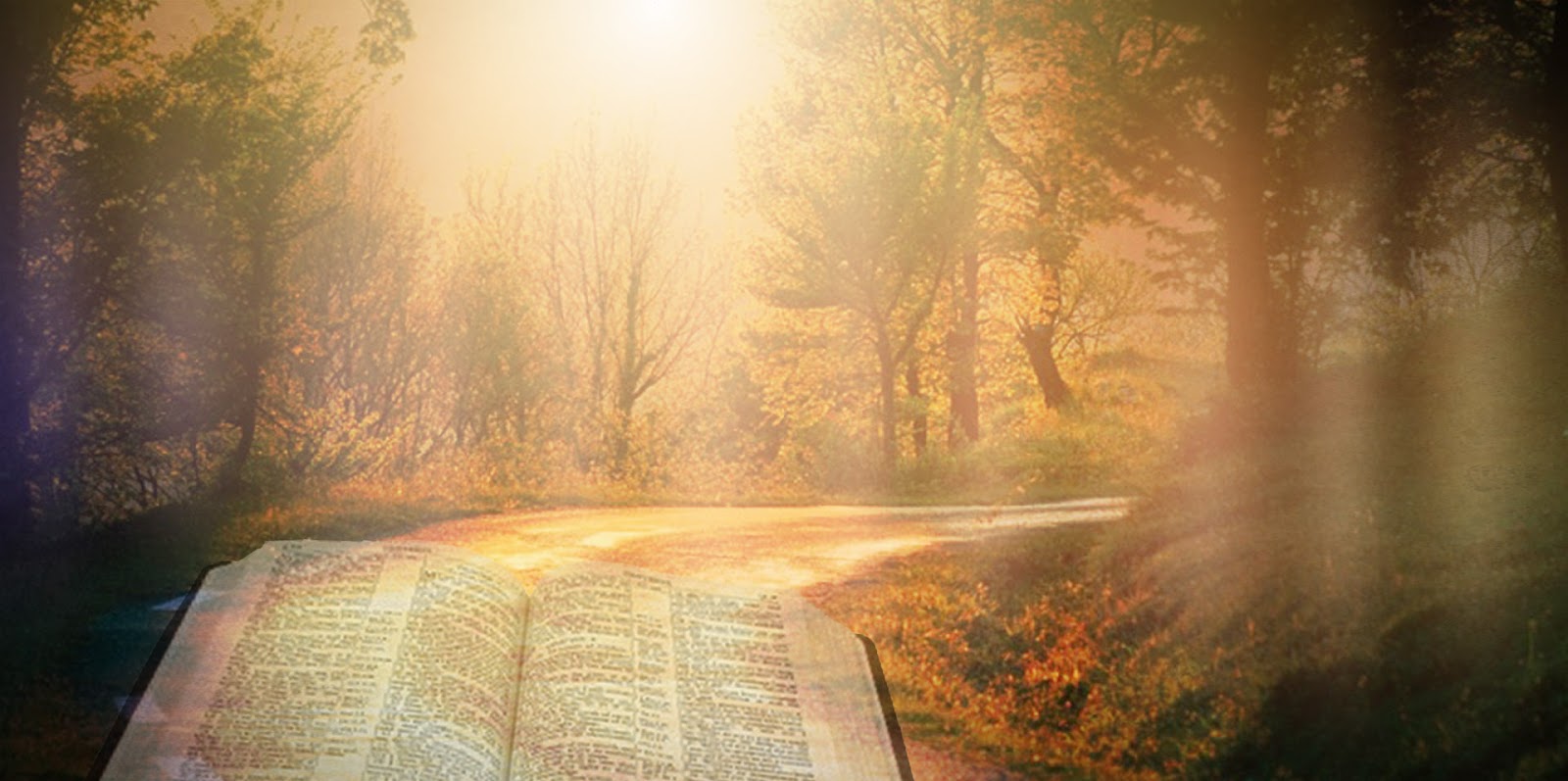 In Your Light We Implore You