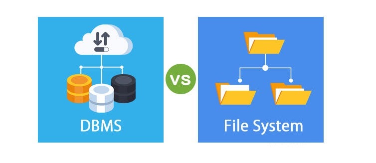 Difference Between DBMS and File System | DB Exam Study