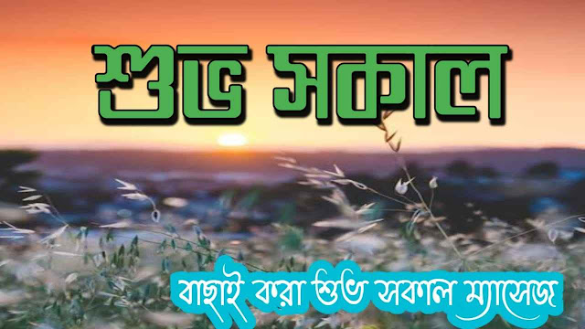 Shuvo Sokal Images