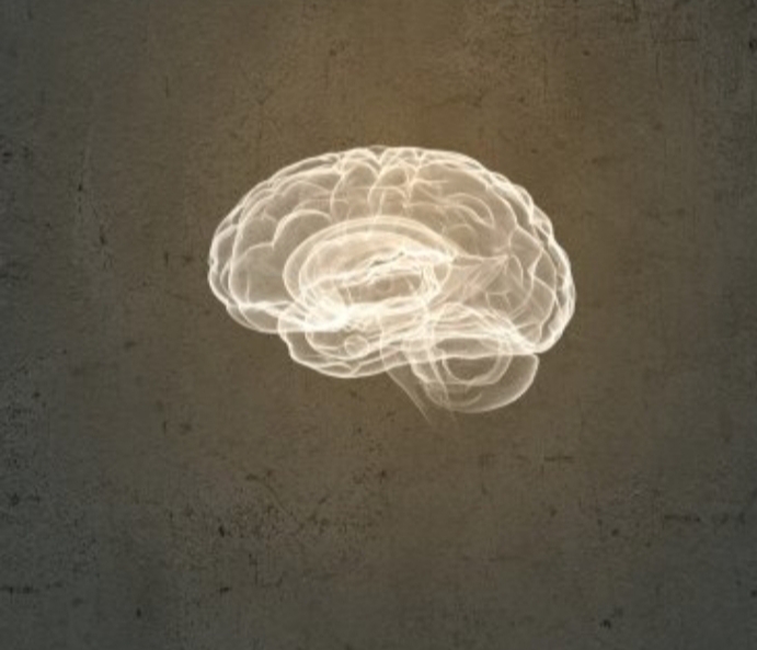 History of psychology(wilhelm wundt)