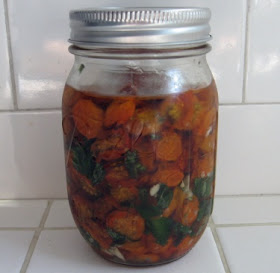 oven-dried sungold tomatoes in olive oil