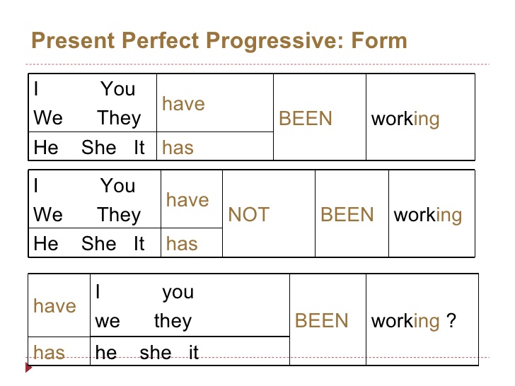 Present Perfect Progressive Tense English Hold