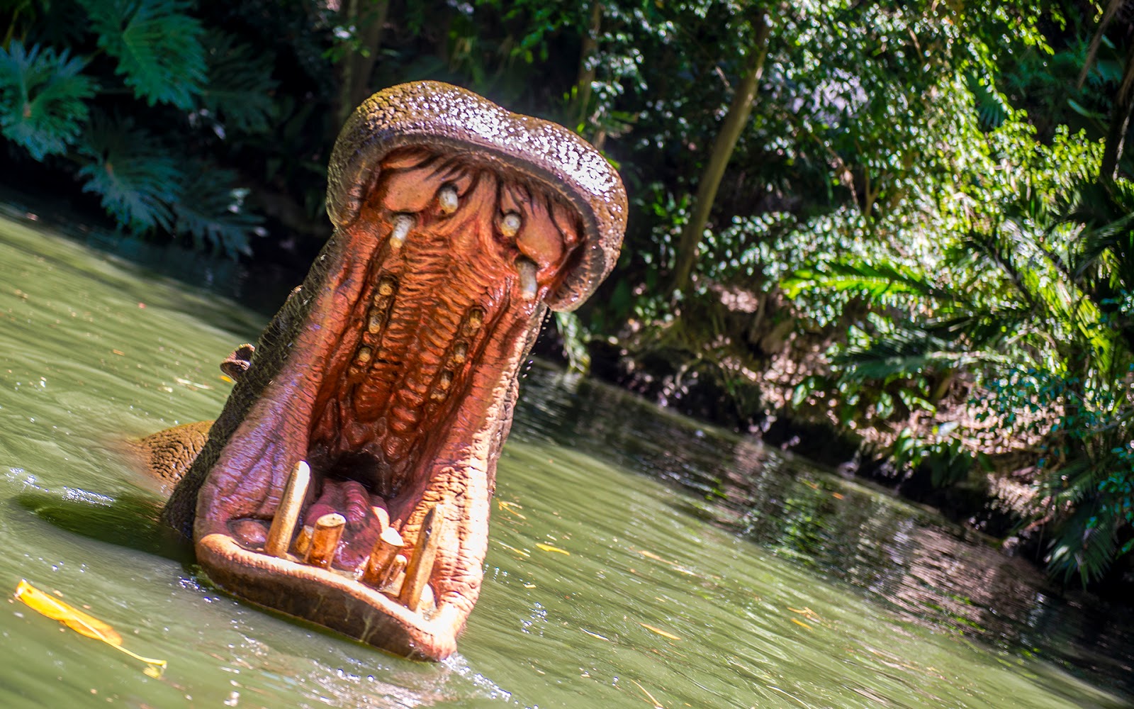 Jungle Cruising Through the Day