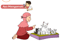 Get Kunci Jawaban Tema 2 Kelas 3 Halaman 109 Gif