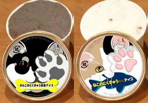 Baru! Yuk Coba Sensasi Unik Eskrim Rasa Cakar Kucing. Berani Coba? Baru! Yuk Coba Sensasi Unik Eskrim Rasa Cakar Kucing. Berani Coba?