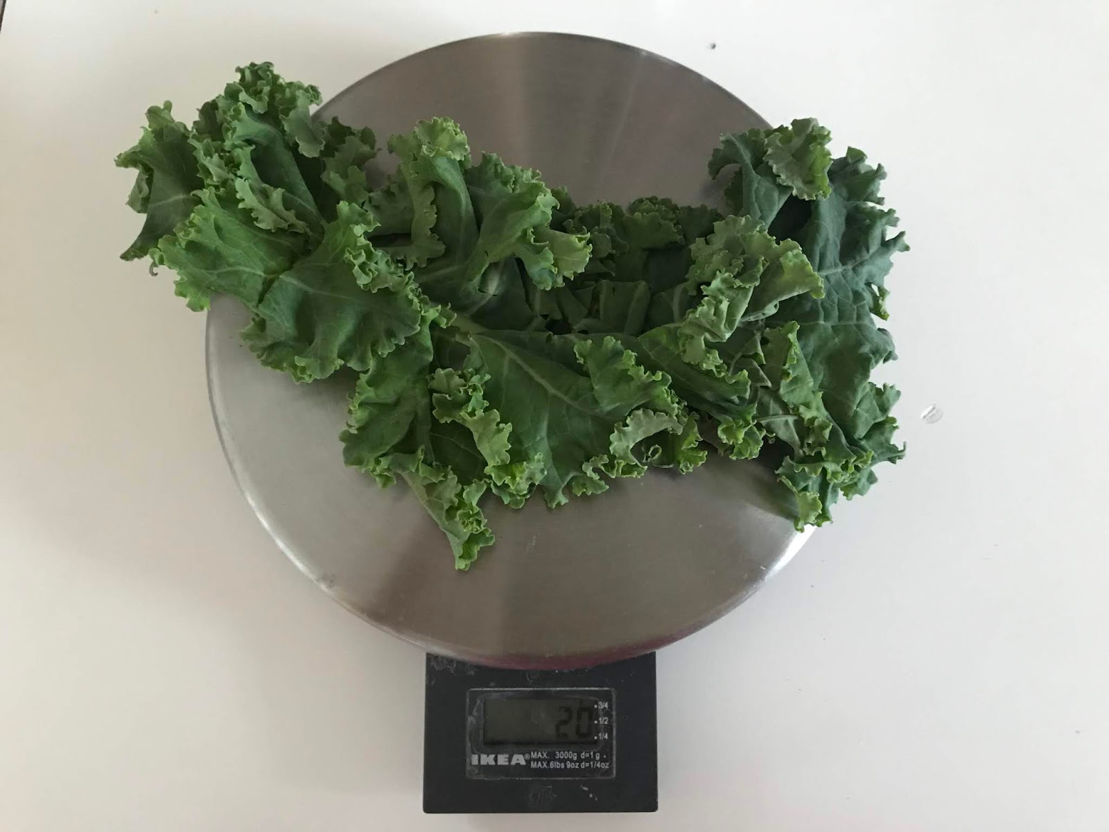 Family FECS Vitamin K Just Leaves of 1 Stalk Kale (10 g) A Day