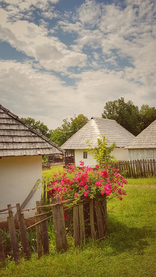 Muzeul Civilizației Populare Tradiționale Astra Din Sibiu Wikipedia