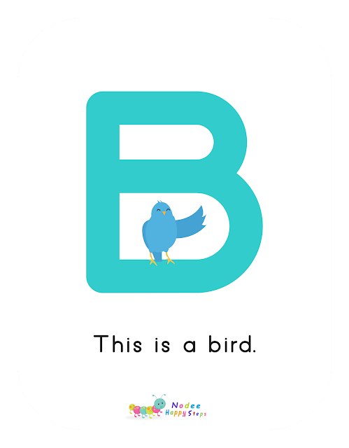 Letter B story for Kids - The Bird
