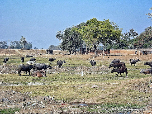 Corretamente confinadas, enfim.