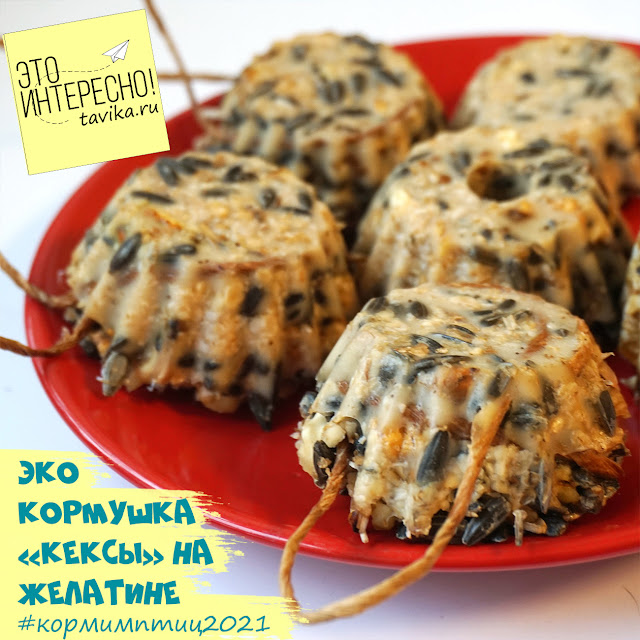 Кормушка для птиц из зерен и желатина Кормушка для птиц из желатина