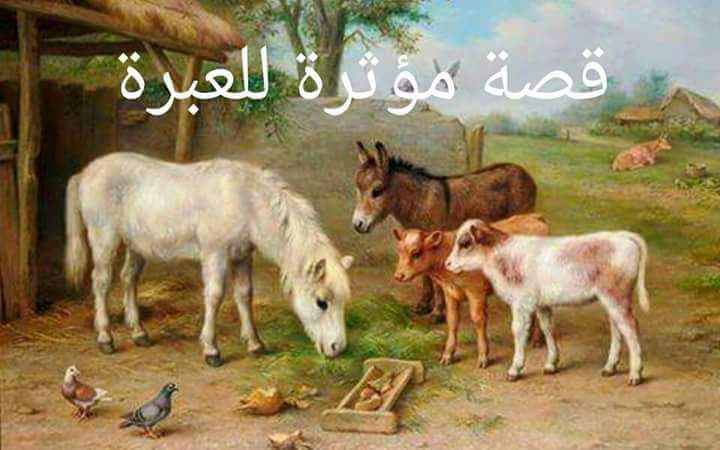 FB_IMG_1493414908175