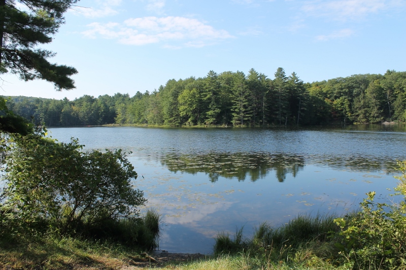 Reflections Around the Campfire Half Moon Pond State Park Fall