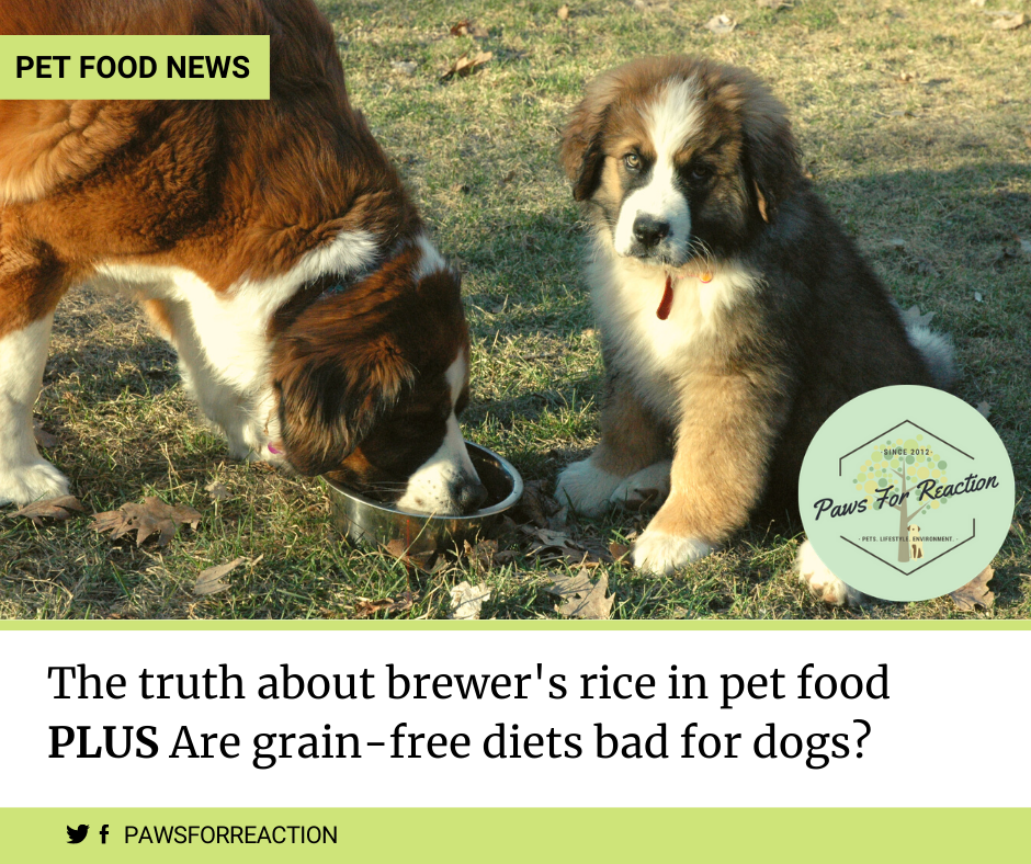 Paws for Reaction Pet food news Truth about brewer's rice in dog food