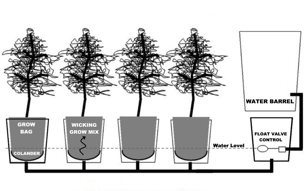 Chennai Hydroponics Subirrigated planter (SIP)