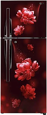 LG 260 L Double Door Inverter Refrigerator (GL-T292RSPN) LG 260 L Double Door Inverter Refrigerator (GL-T292RSPN)