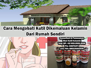 Obat kutil kelamin