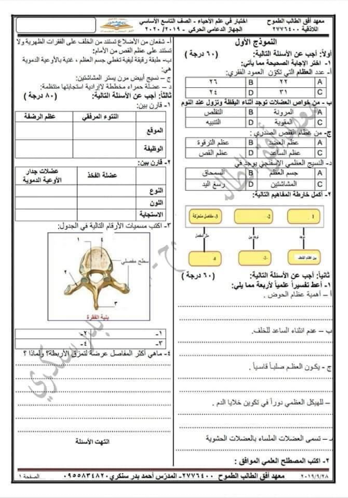نماذج اختبارات في الهيكل العظمي والعضلات في الاحياء للصف التاسع الفصل الاول 2019 2020