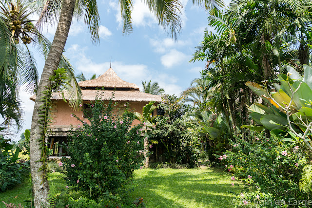 Saudara Home - Ubud - Bali