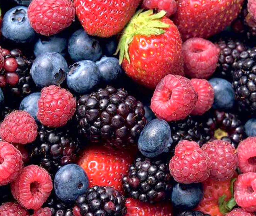 Best fresh Mejor fresco! Mexico BERRY industry booms Explosivo