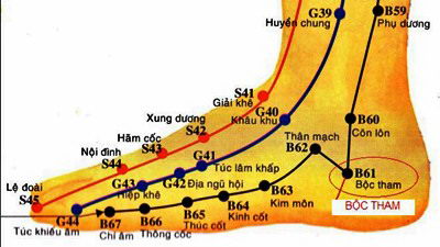 Vị trí huyệt bộc tham