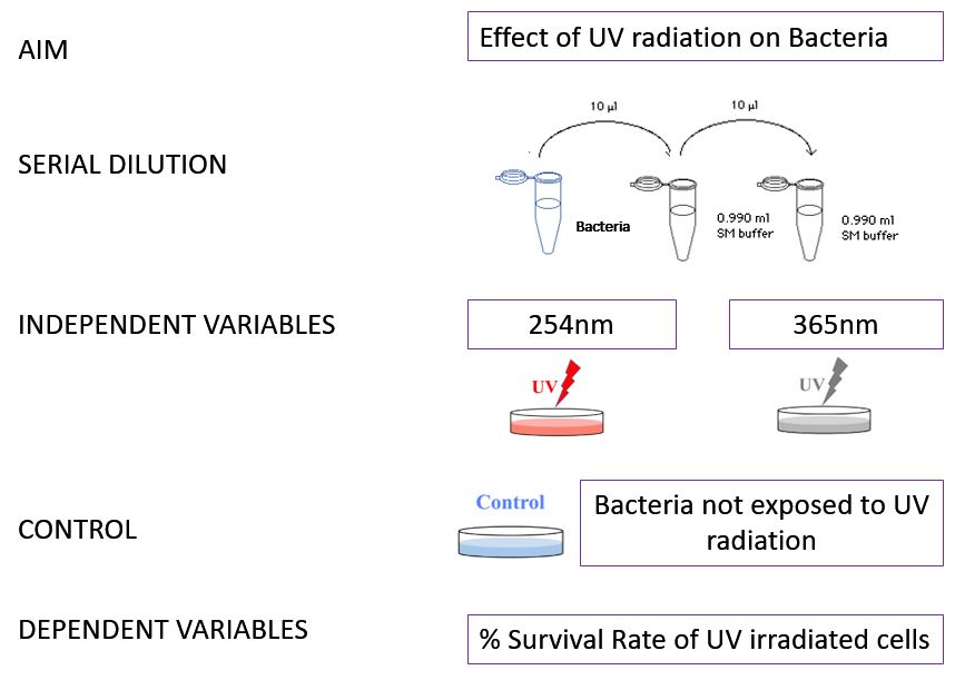 2. Experiment setup