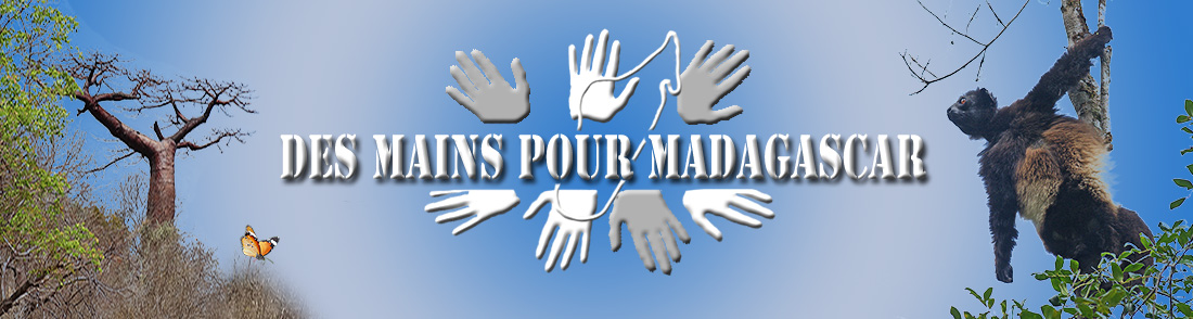 DMM Des mains pour Madagascar Cherbourg