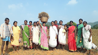 Utilisation of Finger Millet in Nutritional Security