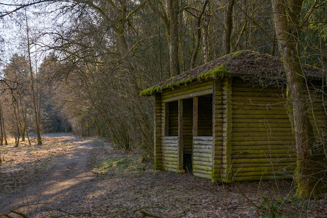 Drei-Seen-Tour Freiensteinau | Extratour Vogelsberg | Wandern in Hessen 10