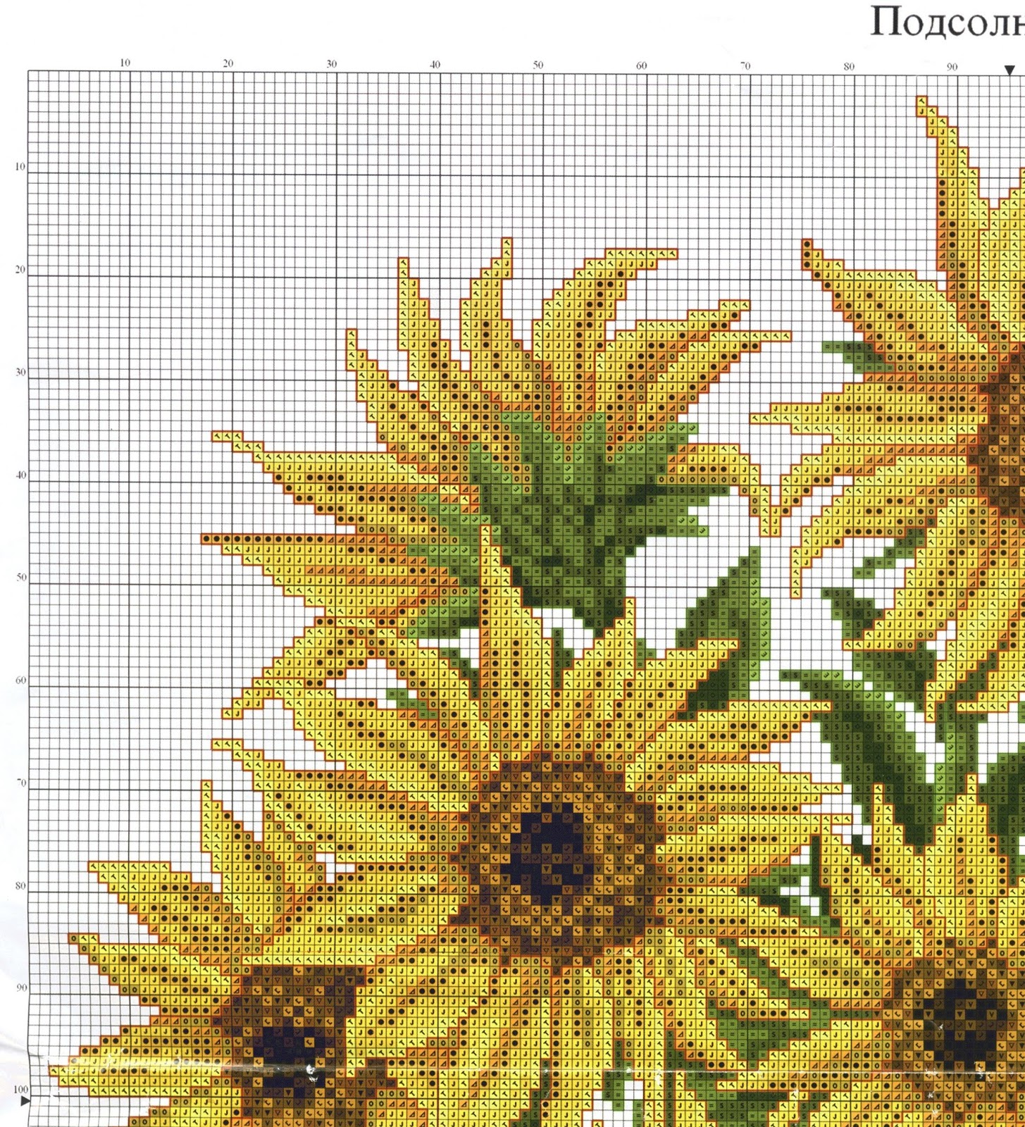 вышитые крестиком подсолнухи. схема подсолнуха. вышивка крестиком подсолнухи. схемы для вышивания крестом подсолнухи. вышивка крестом подсолнухи схемы.