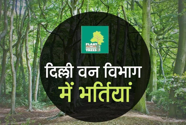 Delhi Forest Department Recruitment 2020 – दिल्ली वन विभाग में निकलीं भर्तियां, 10वीं पास से लेकर स्नातक भी कर सकते हैं आवेदन Delhi Forest Department Recruitment 2020 – दिल्ली वन विभाग में निकलीं भर्तियां, 10वीं पास से लेकर स्नातक भी कर सकते हैं आवेदन