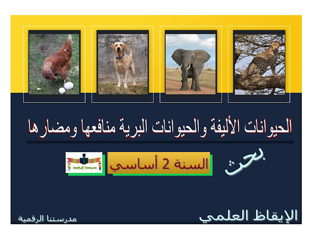 تعرف على الحيوانات البرية والحيوانات الأليفة لجد الله Findlocal Drivewayrepair Com