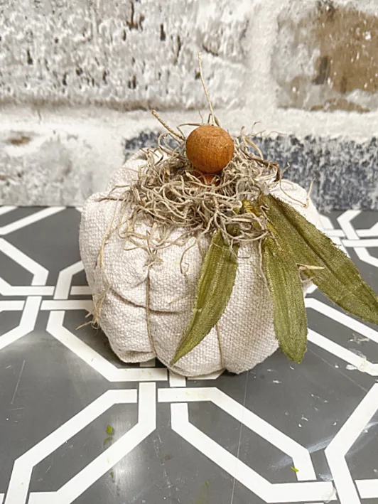 pumpkin with leaves and Spanish moss