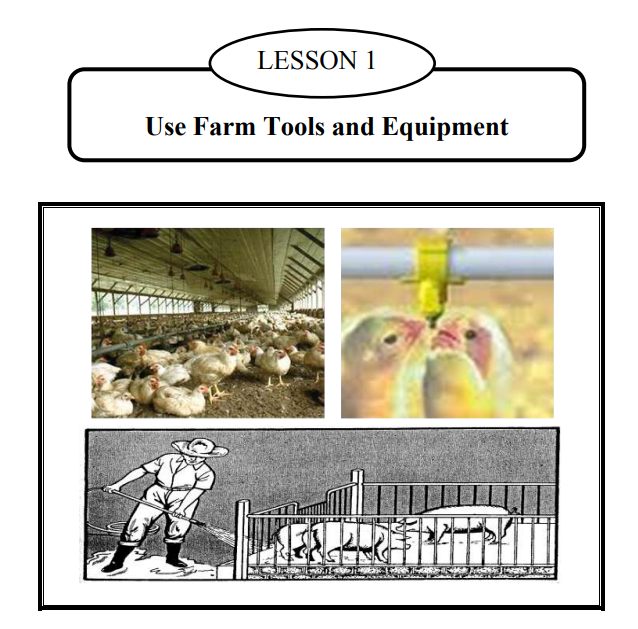 Download K to 12 Animal Production Learning Module