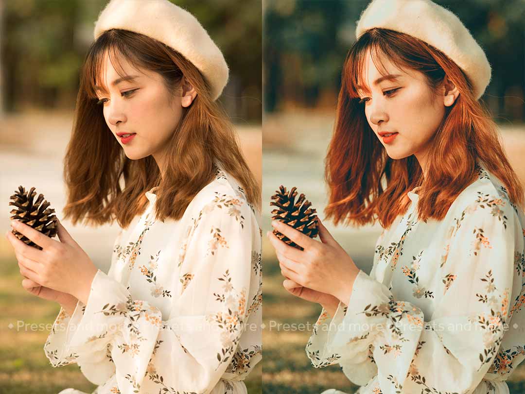 Chia sẻ preset Retro Style tuyệt đẹp Preset Retro Style