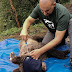 Απεγκλωβισμός παγιδευμένης αρκούδας στο Δίστρατο Κόνιτσας[βίντεο]