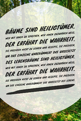 Die 50 besten Zitate zu den Themen Wald und Bäume | Waldzitate | Baumzitate | Naturzitate | Zitate-Wald | Inspirierende-Zitate