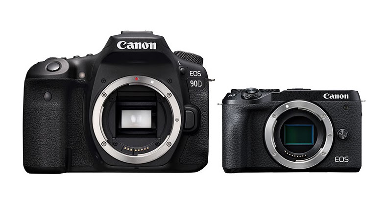 Michael Daniel Ho - The Wildlife Ho-tographer: Canon to add 24p 4K