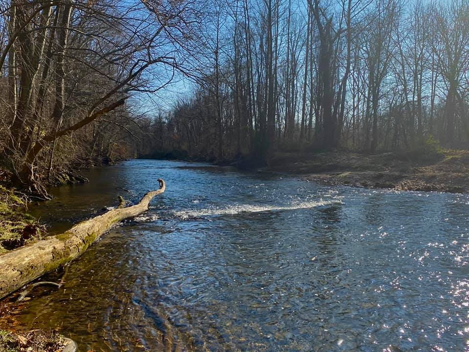 DNREC Trout Stocking; Early Season Open At White Clay, Red Clay