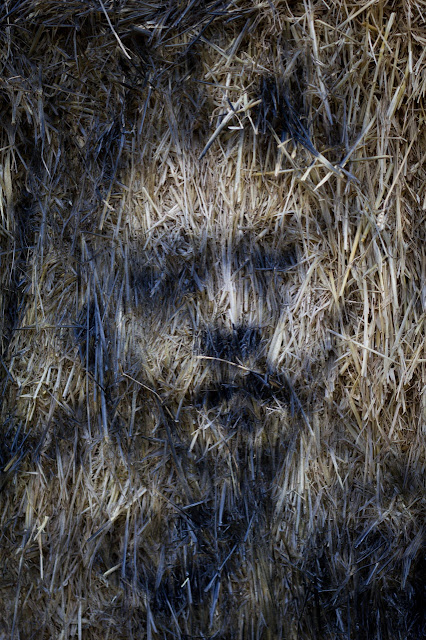 Street Art By Borondo On Straw. In Roma, Italy. 6