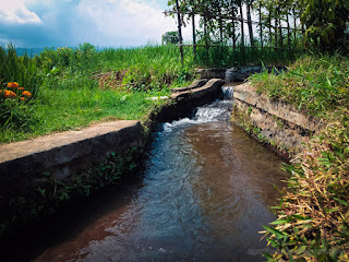 Natural View Clear Water Flow Of Farm Irrigation In Agricultural Area At The Village Ringdikit North Bali Indonesia