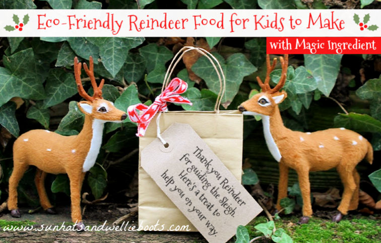 Magic Christmas reindeer food recipe - Kidspot