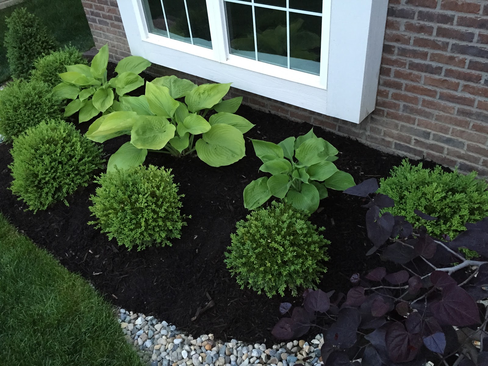 Photo 282 29 Jpg 1 600 1 195 Pixels White Gardens Backyard